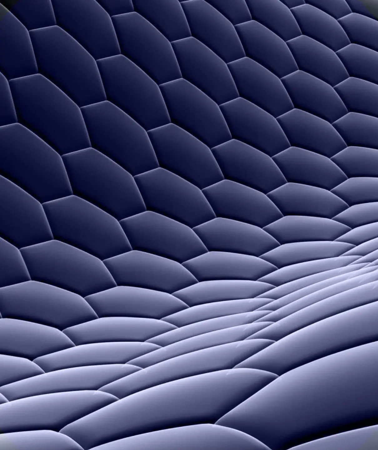 Hexagon background 3d